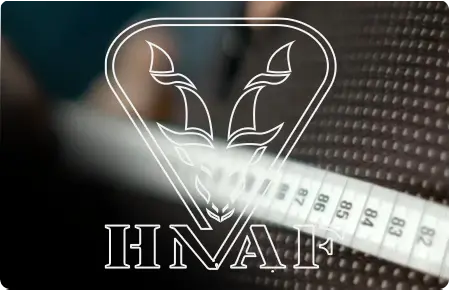 Hnaf Enterprises